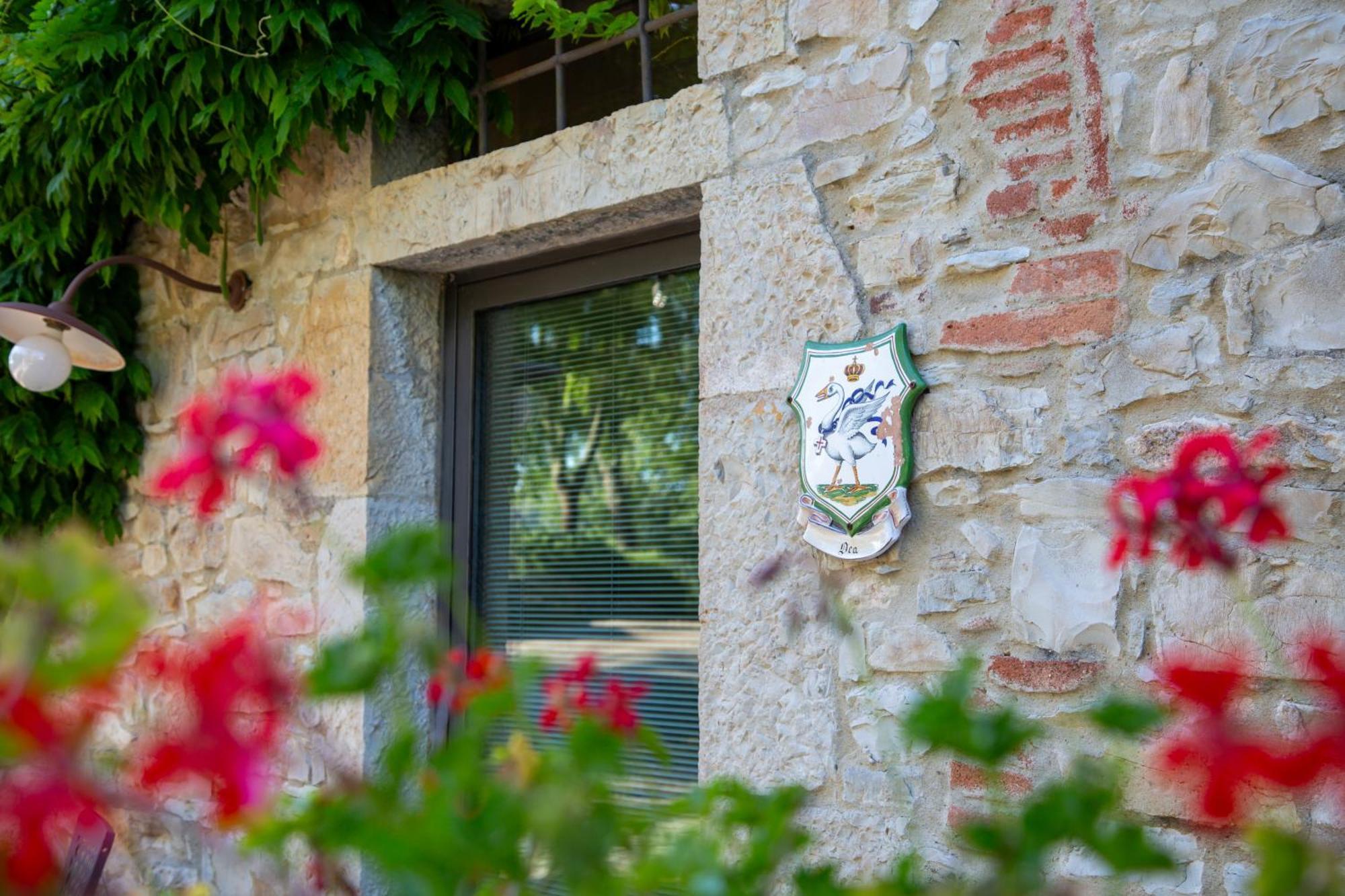 Colombaio Di Cencio Lejlighed Gaiole in Chianti Eksteriør billede