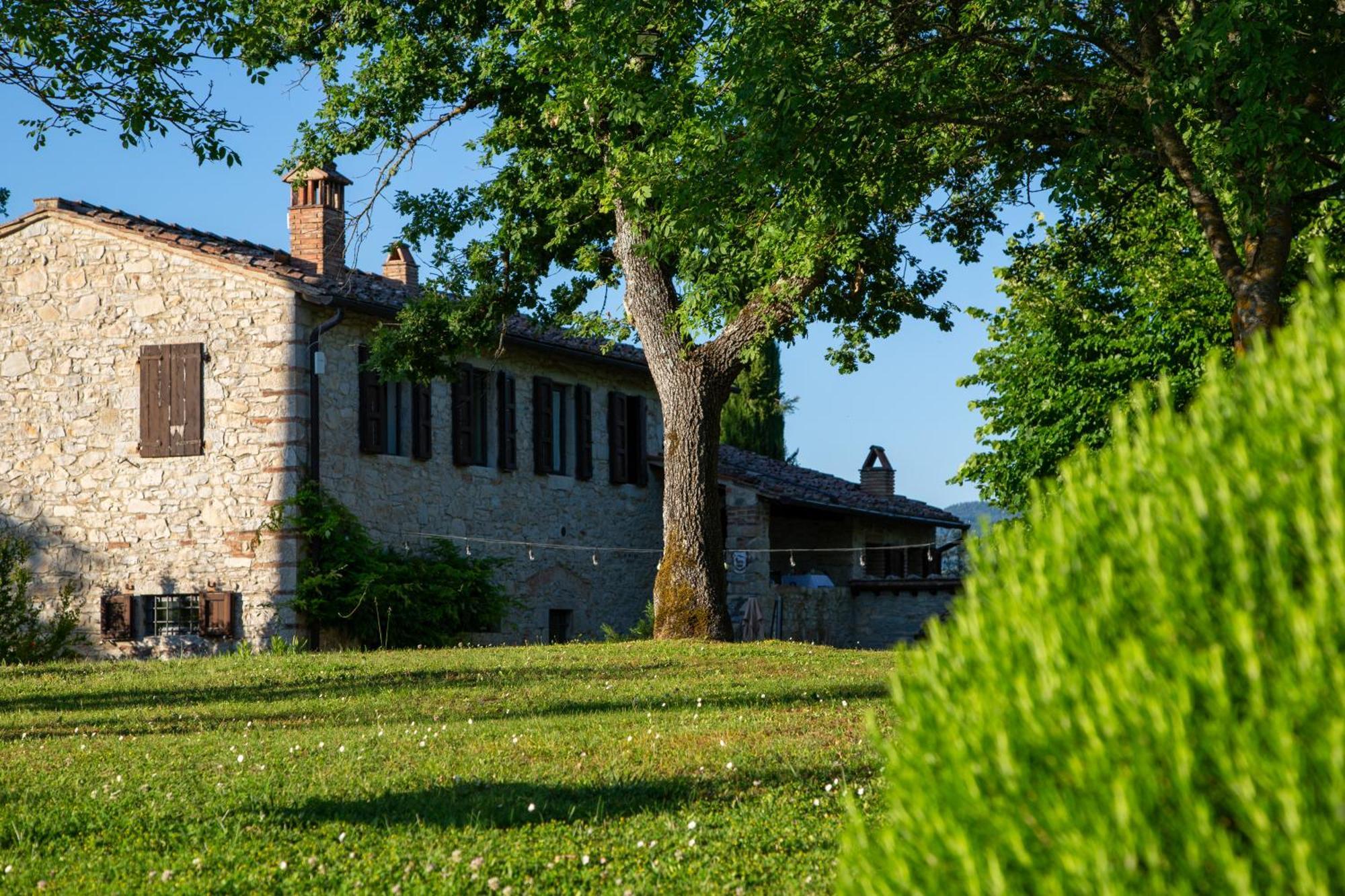 Colombaio Di Cencio Lejlighed Gaiole in Chianti Eksteriør billede