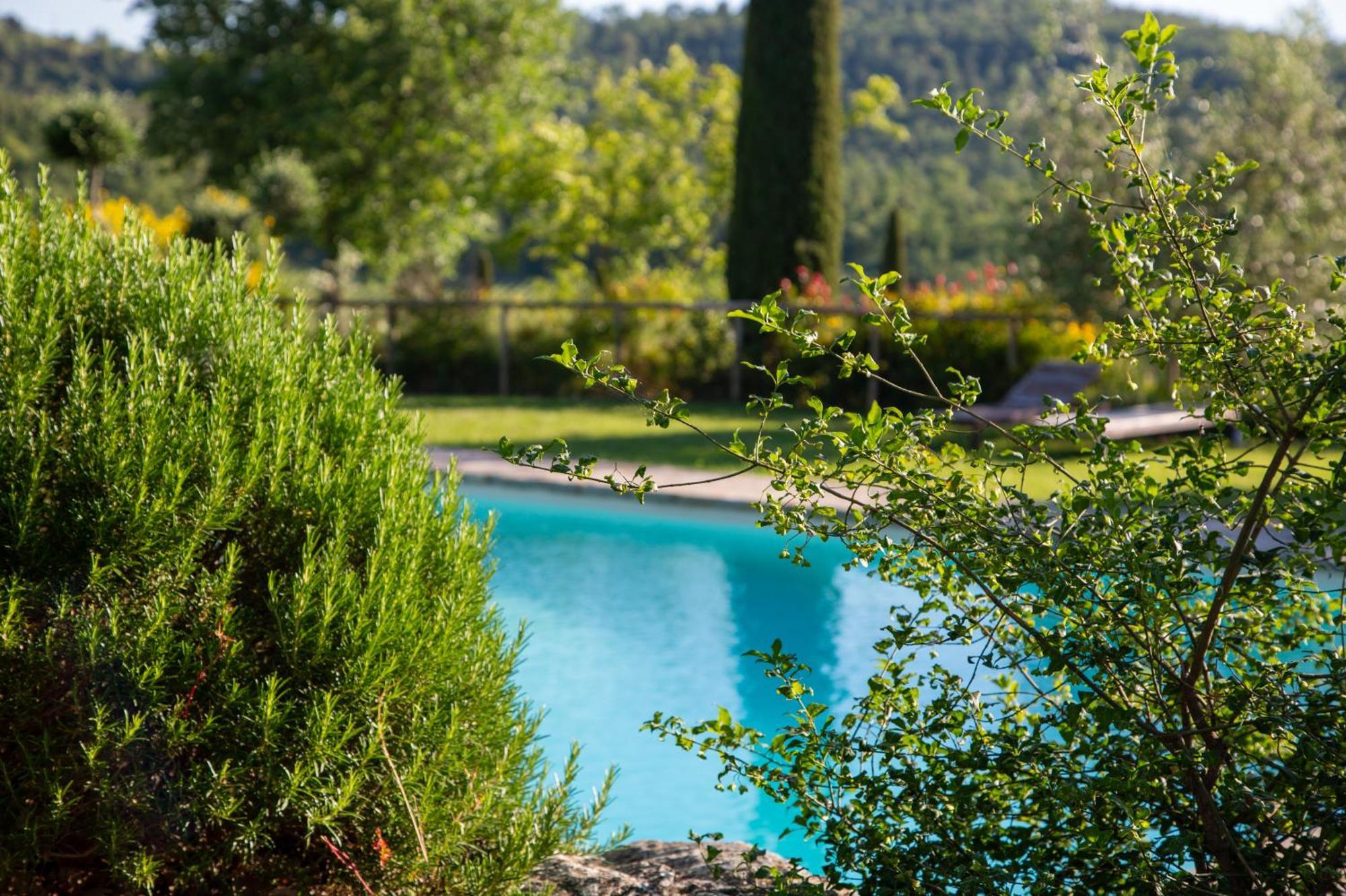 Colombaio Di Cencio Lejlighed Gaiole in Chianti Eksteriør billede